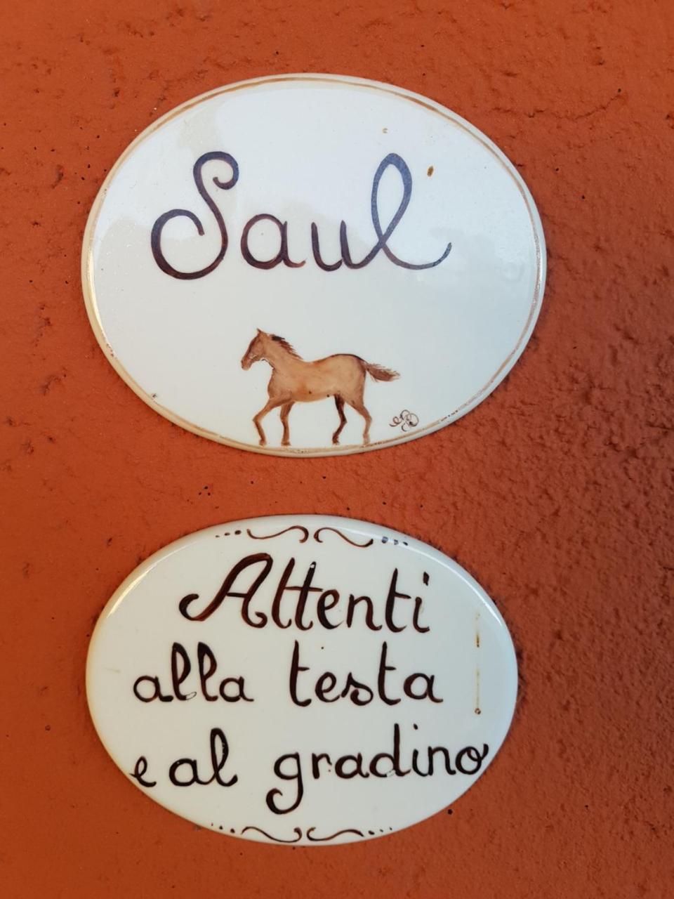 B&B La Cascina Di Monia E Mario Borgo Ticino 外观 照片